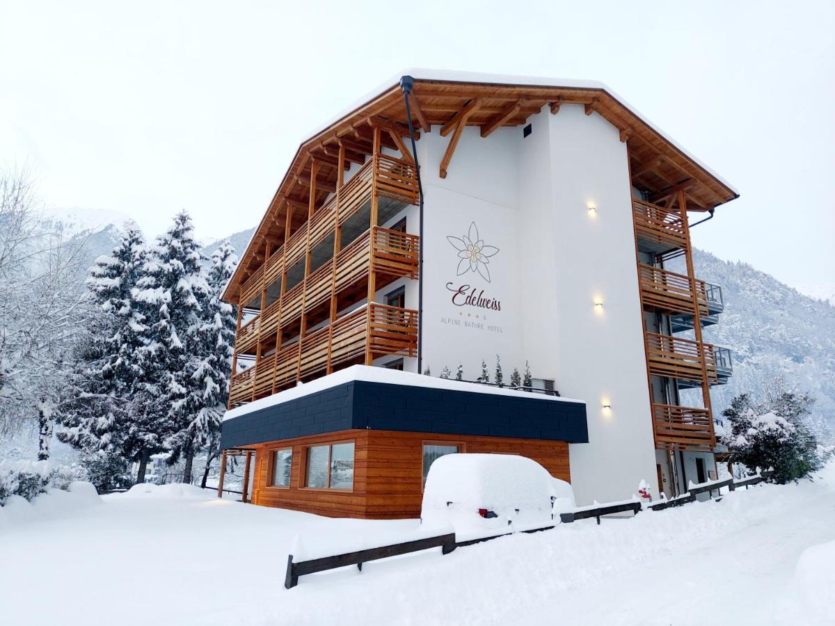 Hotel Edelweiss Alpine Nature Pinzolo Exterior foto